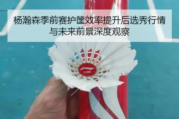 杨瀚森季前赛护筐效率提升后选秀行情与未来前景深度观察